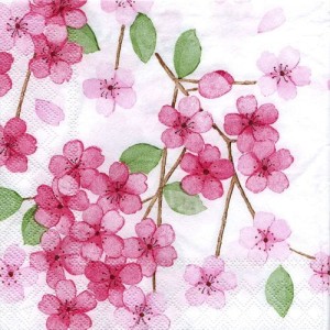 Serwetka do decoupage-kwiaty wiśni 6493