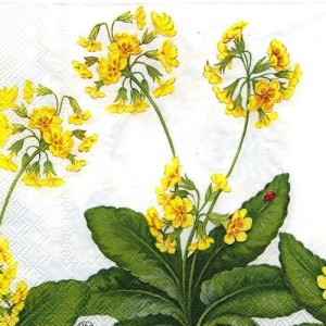 Serwetka do decoupage-primula