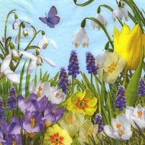 Serwetka do decoupage-wiosenne kwiaty 6501