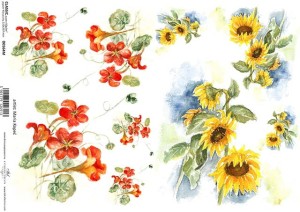 Papier decoupage A4 210x297 - ITD D0564M