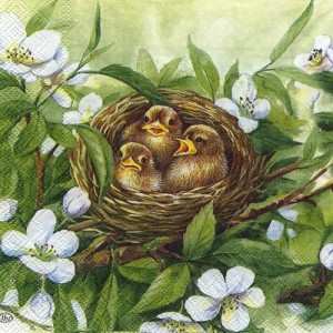 Serwetka do decoupage-pisklęta w gniazdku