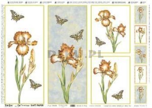 Papier do decoupage B2 50x70 - TO-DO 245 1086