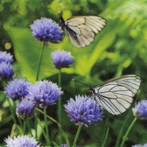 Serwetka do decoupage-para motylków