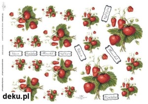 Papier decoupage A4 210x297 - itd 0248m 510