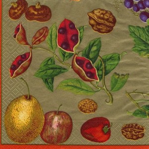 Serwetka do decoupage- owoce jesieni