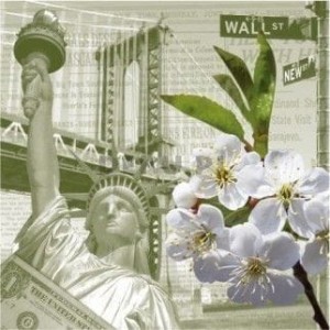 Serwetka do decoupage - nowy york 3647