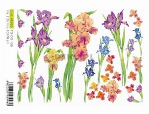Papier do decoupage 350x500mm - TO-DO 150 1205