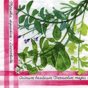 Serwetka do decoupage- zioła