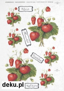 Papier ryżowy A4 210x297 -  decoupage itd R126 612