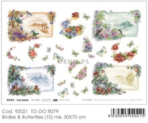 Papier do decoupage B2 50x70 - TO-DO R079 1133