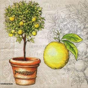 Serwetka do decoupage- drzewko cytrynowe 6524