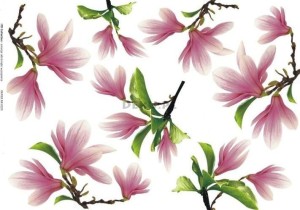 Papier decoupage A3 420x297 - itd 0220 2336