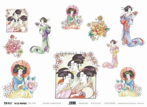 Papier do decoupage 350x500mm - TO-DO R006 1184