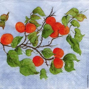 Serwetka do decoupage-brzkoskiwnia 6291