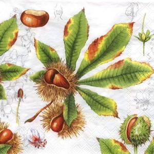 Serwetka do decoupage-kasztanki